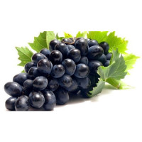 Black Grape(kalo angur)